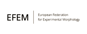 European Federation for Experimental Morphology