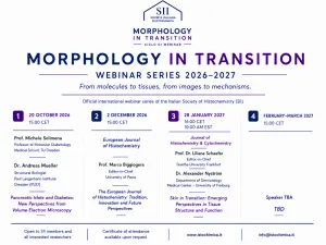 SII Webinar Series 2026-2027 - Morphology in Transition