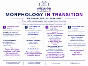 SII Webinar Series 2026-2027 - Morphology in Transition